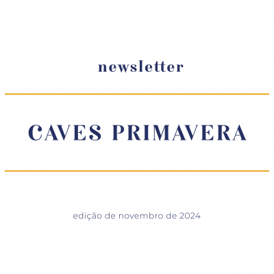 newsletter-novembro-2024