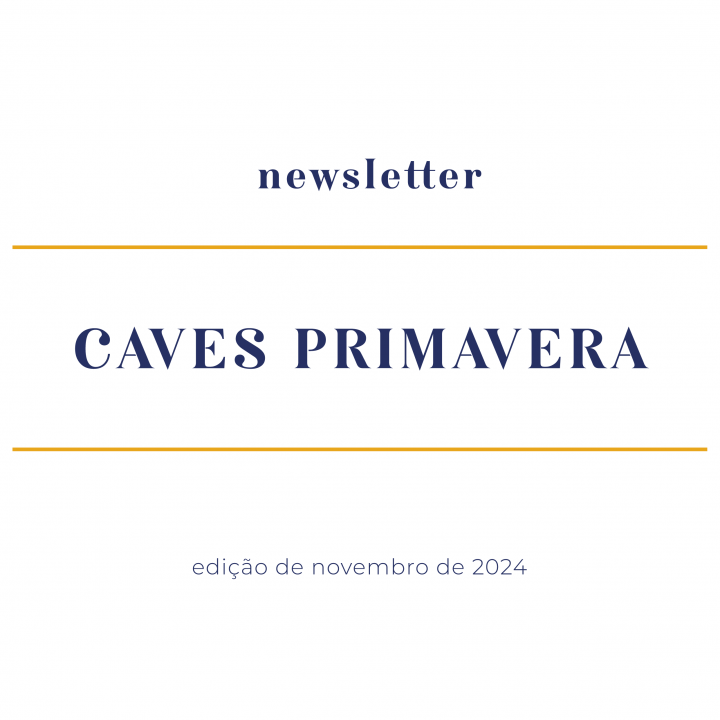 newsletter-novembro-2024