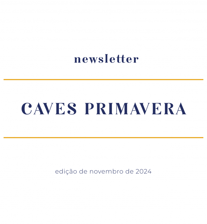 newsletter-novembro-2024