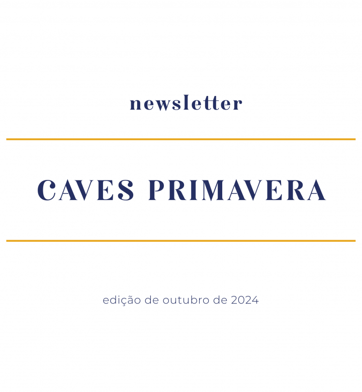 newsletter-outubro-2024