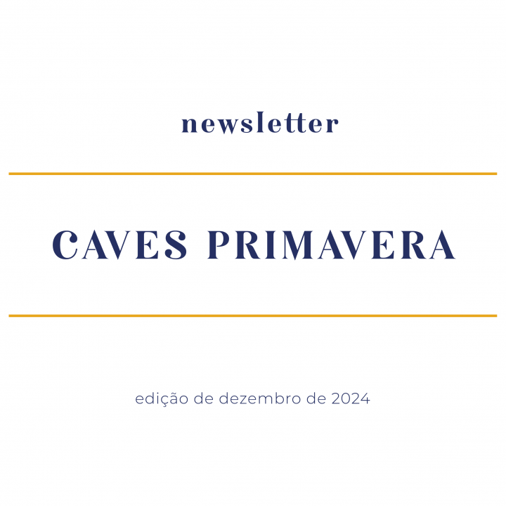 newsletter-dezembro-2024